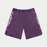 Courtside Shorts (Grape Wash)